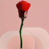 Pennello Design a Forma di Rosa